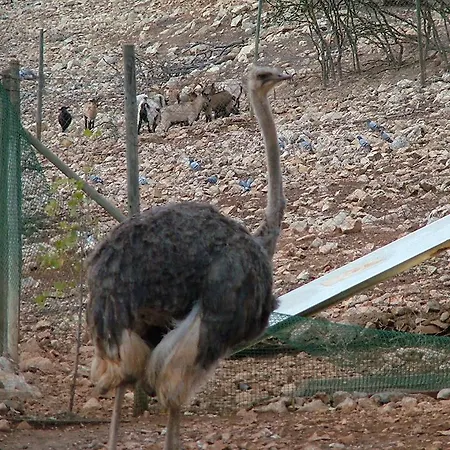 Mi Refugio 3* لوسينا